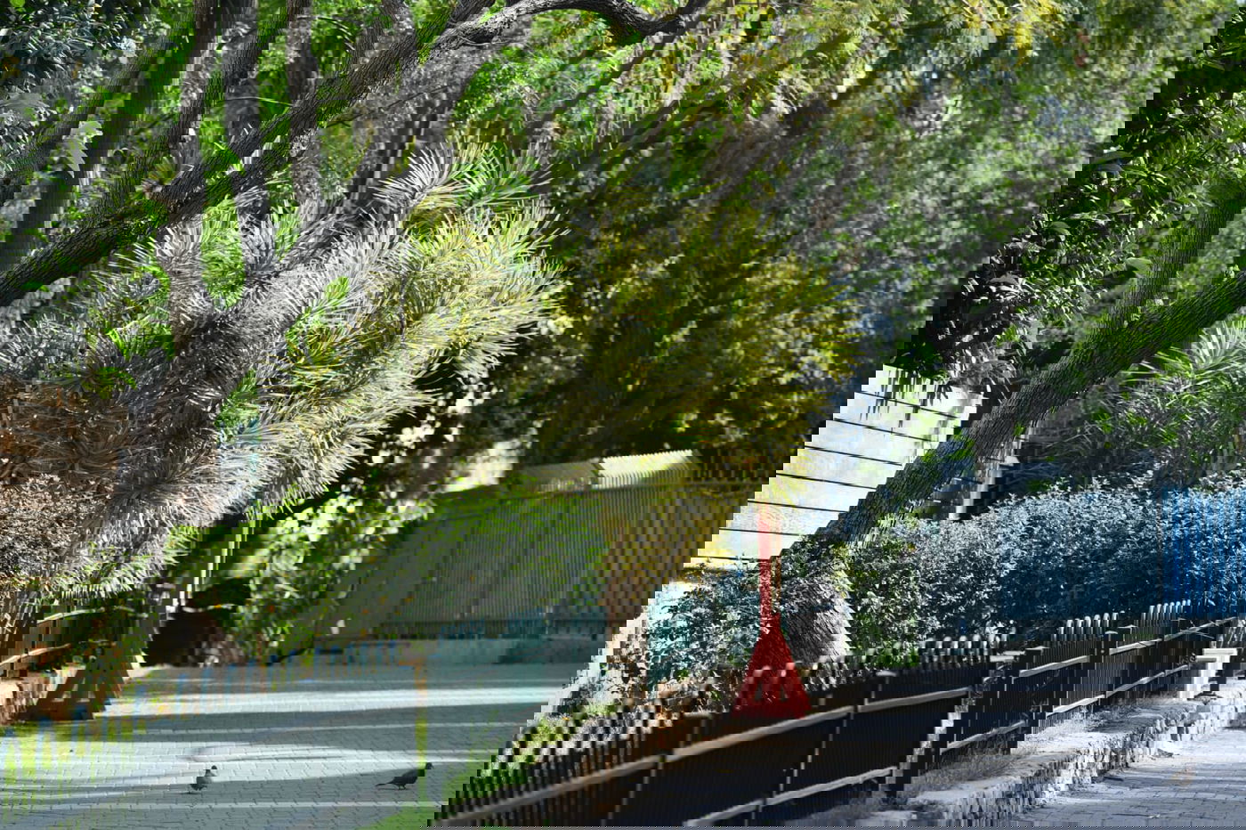 גלריה מרמת גן - בצל נגיף הקורונה • צפו