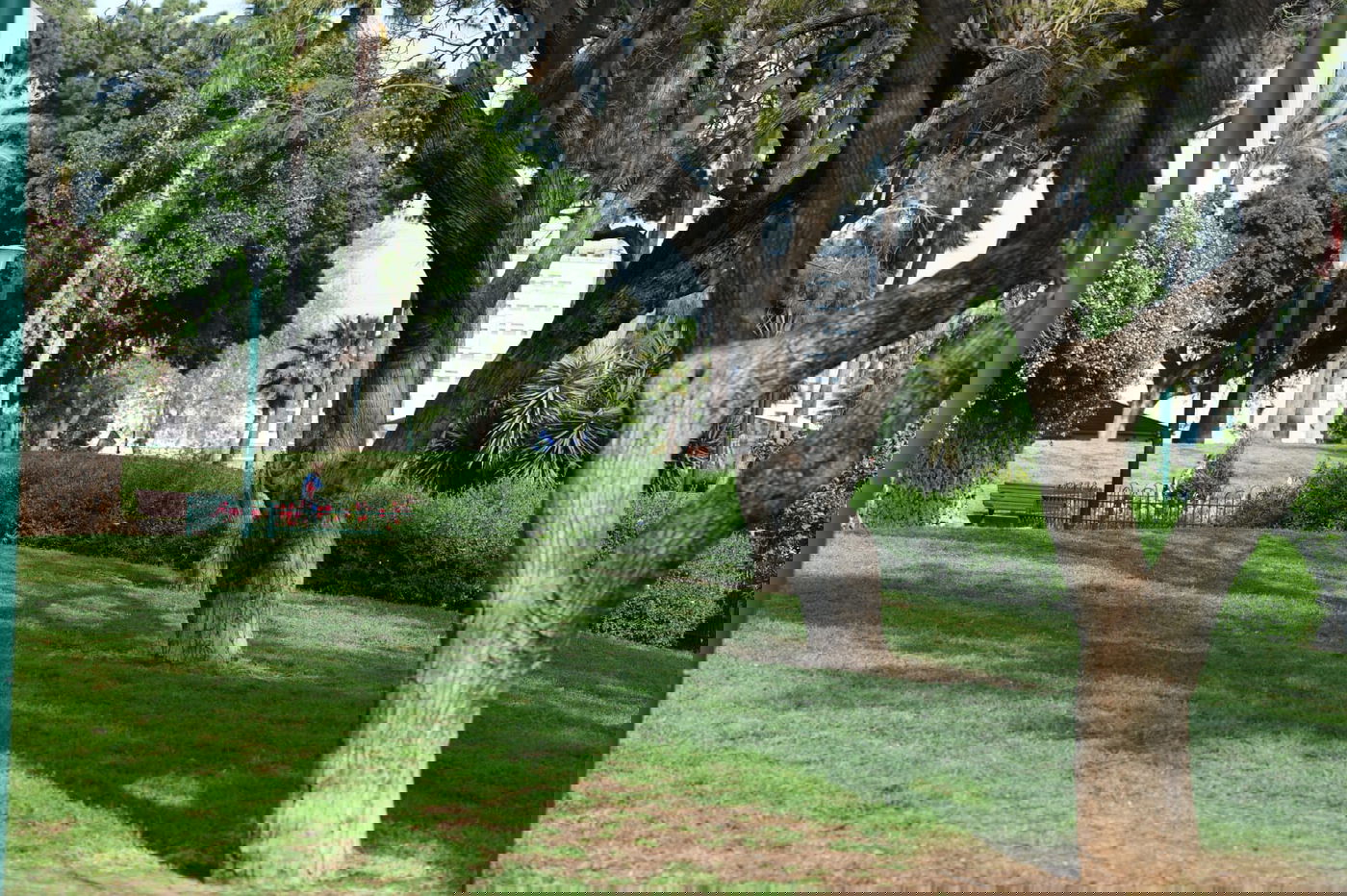 גלריה מרמת גן - בצל נגיף הקורונה • צפו