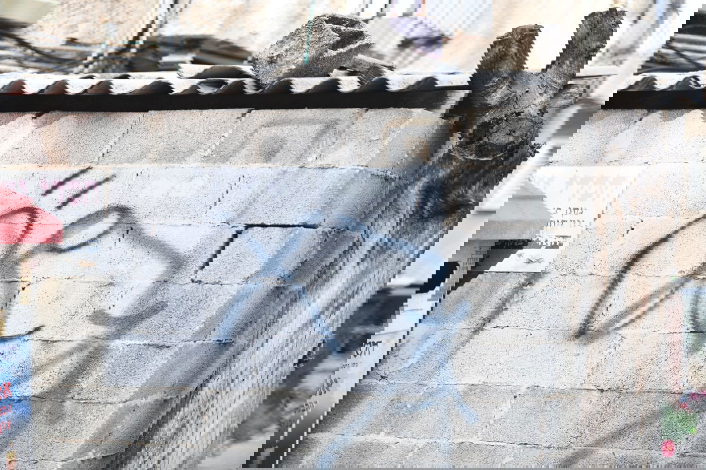 גלריה מרמת גן - בצל נגיף הקורונה • צפו