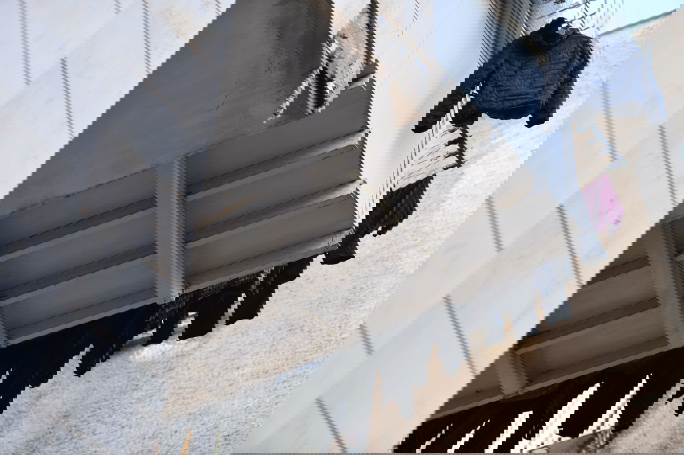 גלריה מרמת גן - בצל נגיף הקורונה • צפו