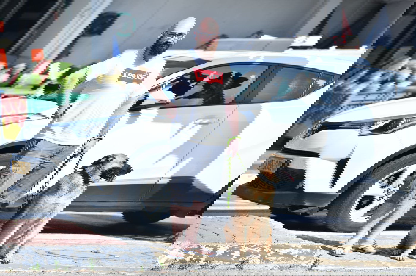 גלריה מרמת גן - בצל נגיף הקורונה • צפו