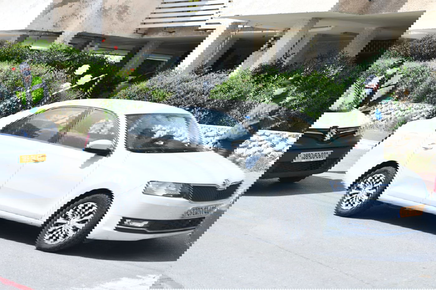 גלריה מרמת גן - בצל נגיף הקורונה • צפו