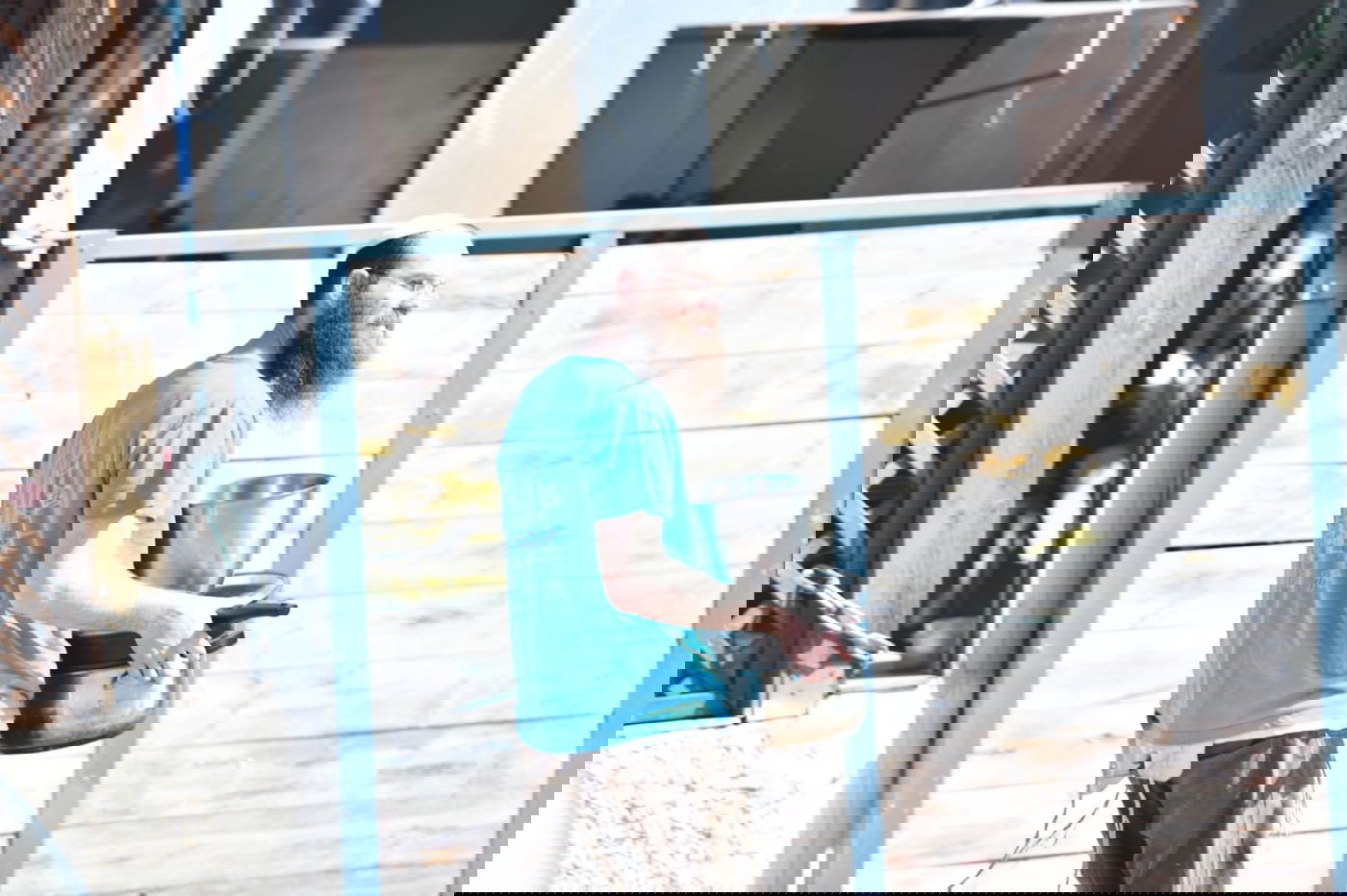 גלריה מרמת גן - בצל נגיף הקורונה • צפו