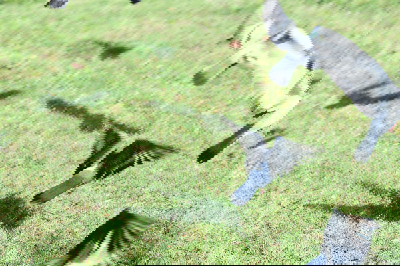 גלריה מרמת גן - בצל נגיף הקורונה • צפו