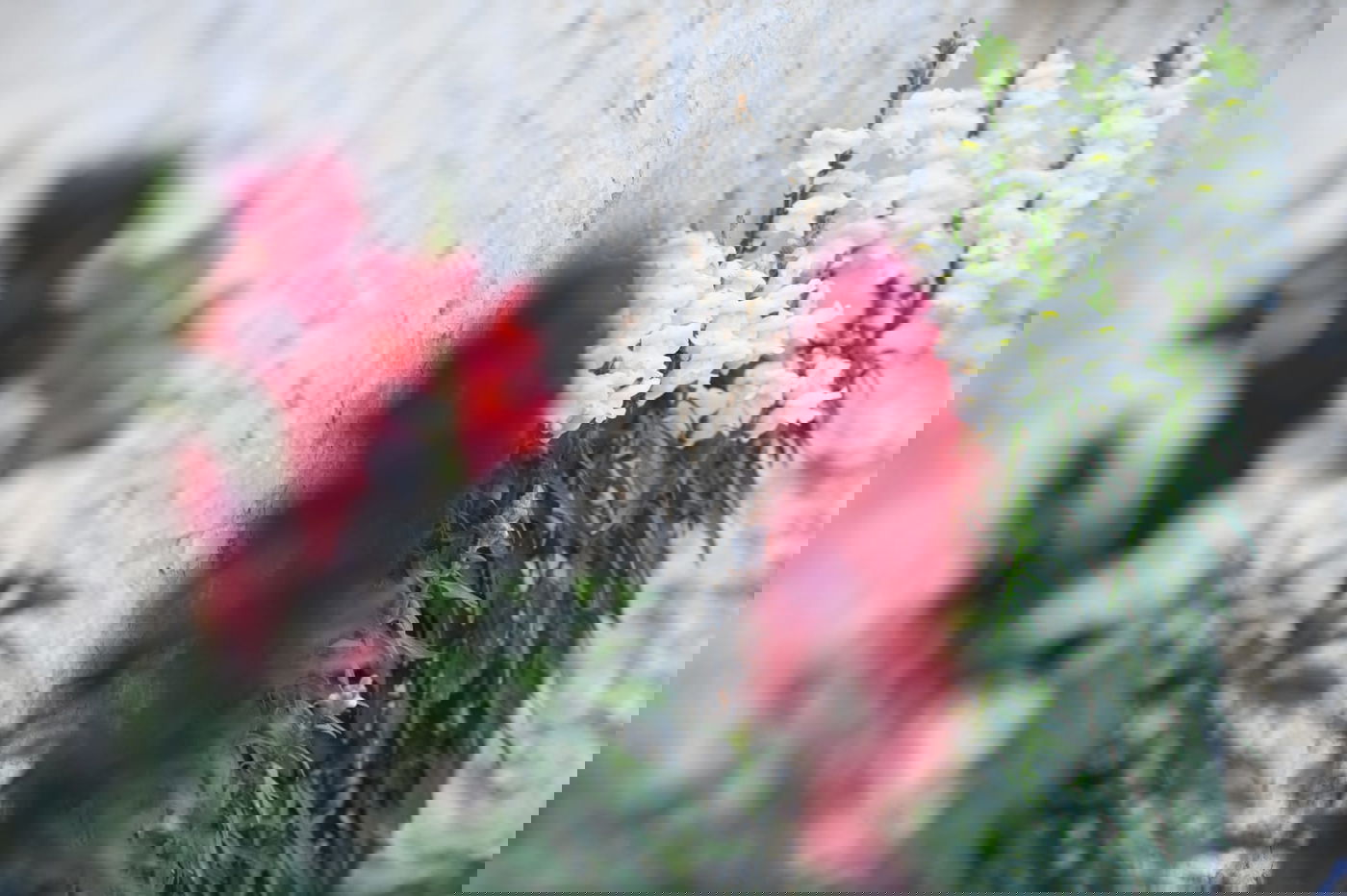 גלריה מרמת גן - בצל נגיף הקורונה • צפו