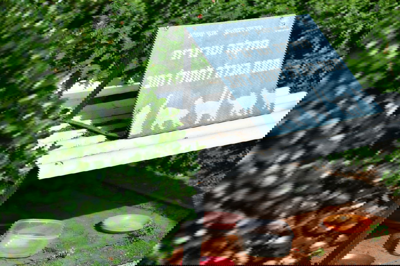 גלריה מרמת גן - בצל נגיף הקורונה • צפו