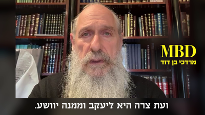 מרדכי בן דוד