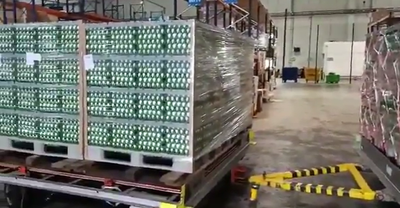 הביצים בדרכן לישראל