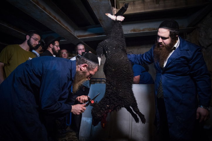 הדגמת שחיטת קורבן פסחץ ארכין