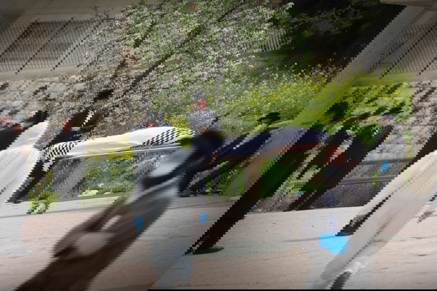 בצל ה'קורונה': כך "אבא של מירון" הובא למנוחות • גלריה