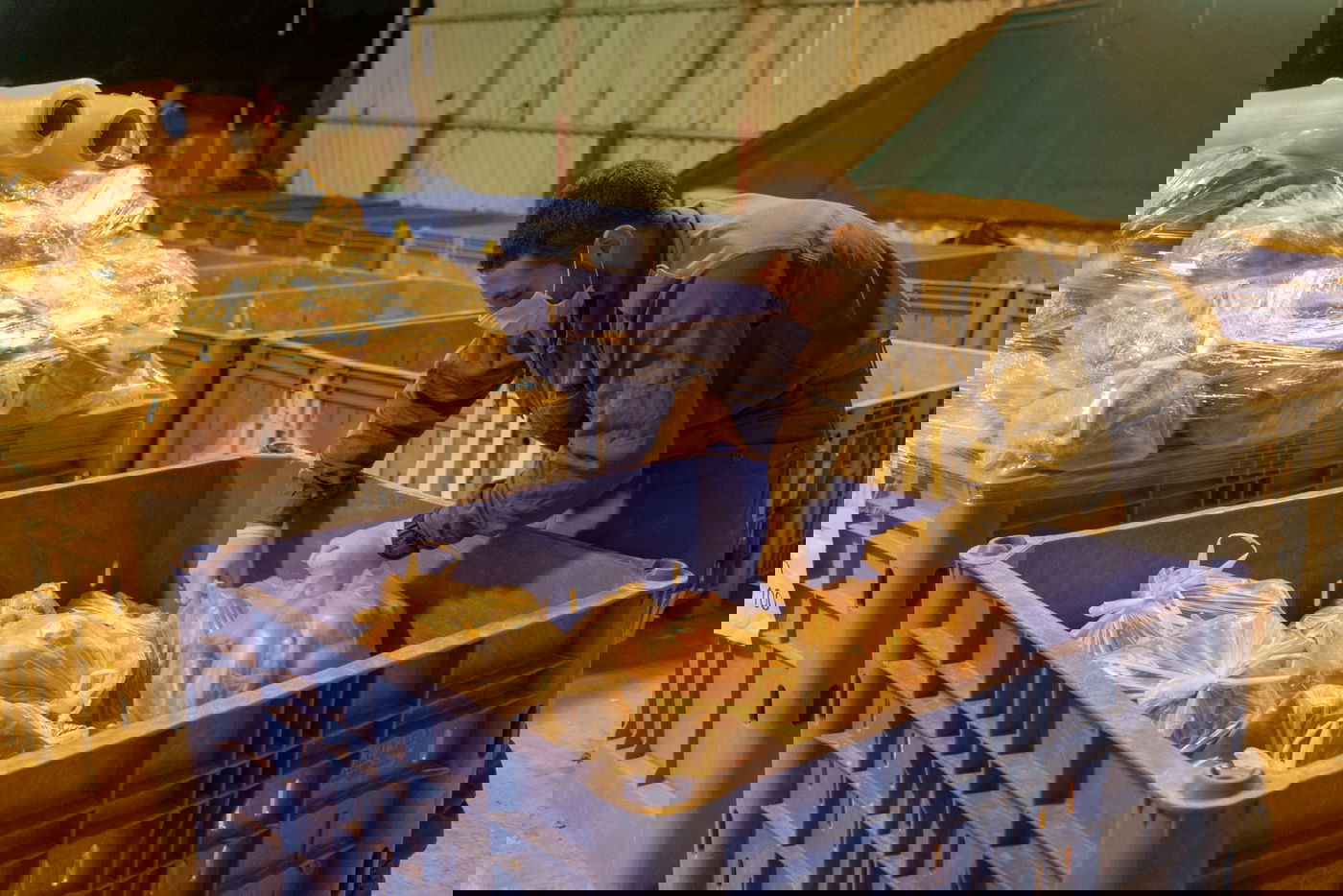 "קמחא דפסחא" מצה"ל לחולים ולמבודדים