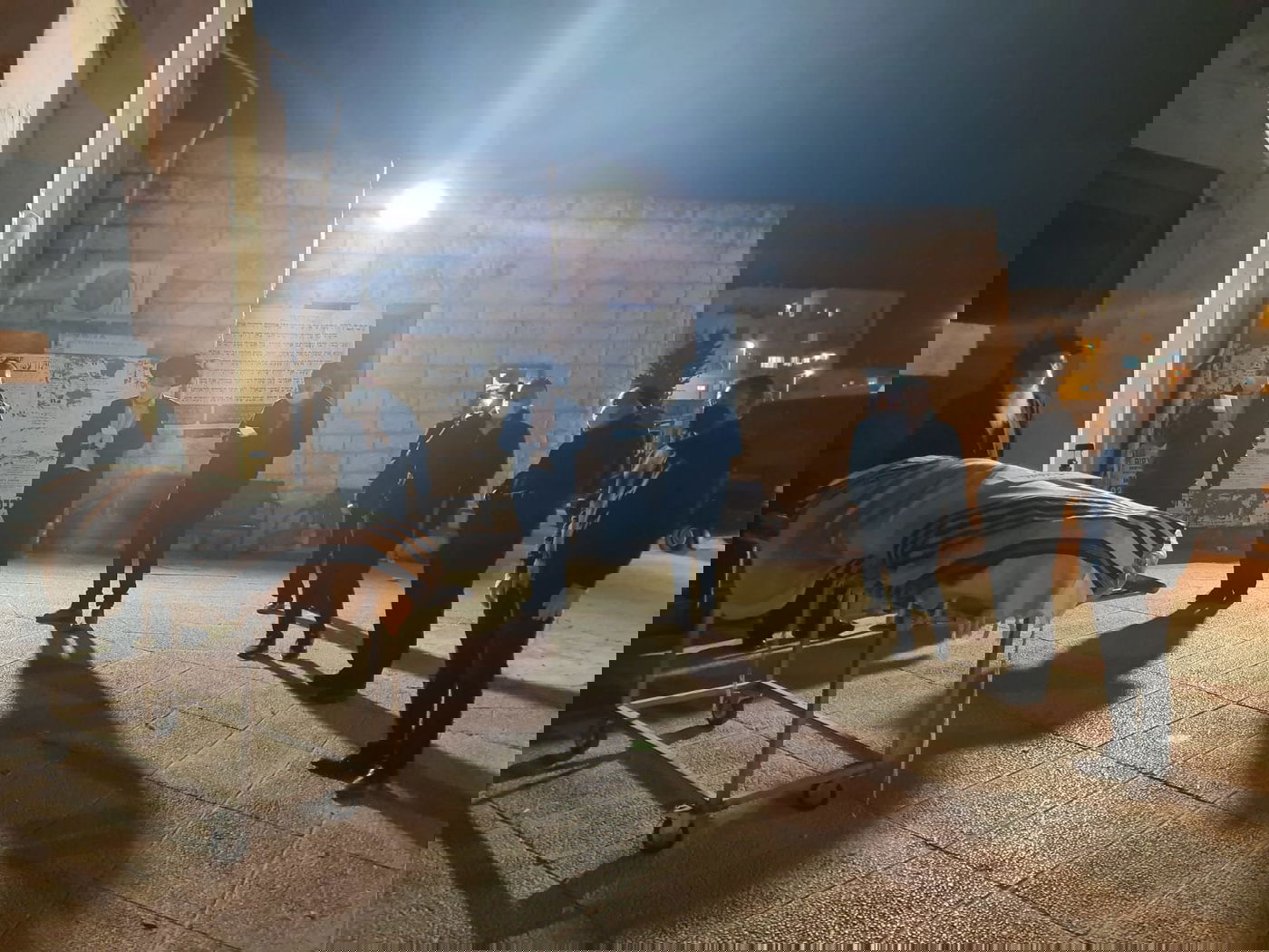 המשולח שנדבק מהנגיף בחו"ל  - נקבר • צפו