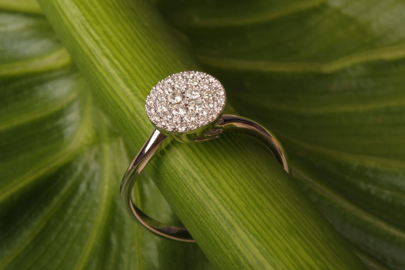 אילוסטרציה