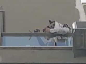 מהמרפסת: סיום המסכת של דוד קליגר