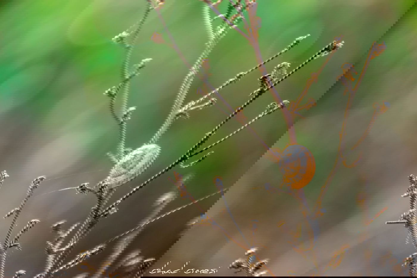 מתגעגעים לטיול חג? תיעוד מרהיב מהצפון