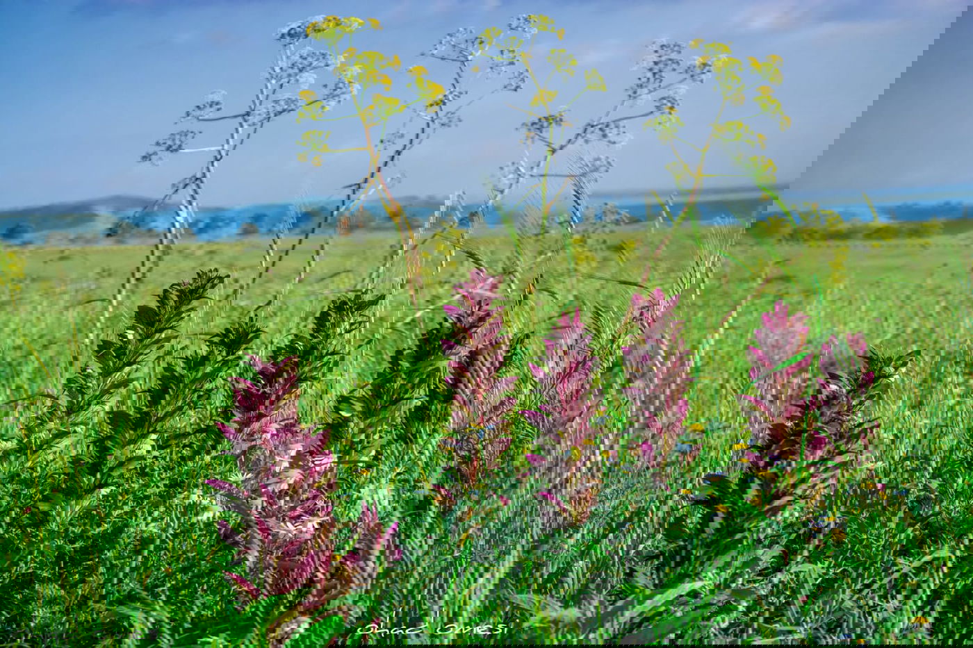 מתגעגעים לטיול חג? תיעוד מרהיב מהצפון