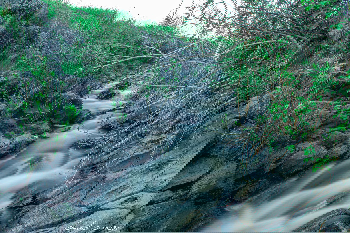 מתגעגעים לטיול חג? תיעוד מרהיב מהצפון