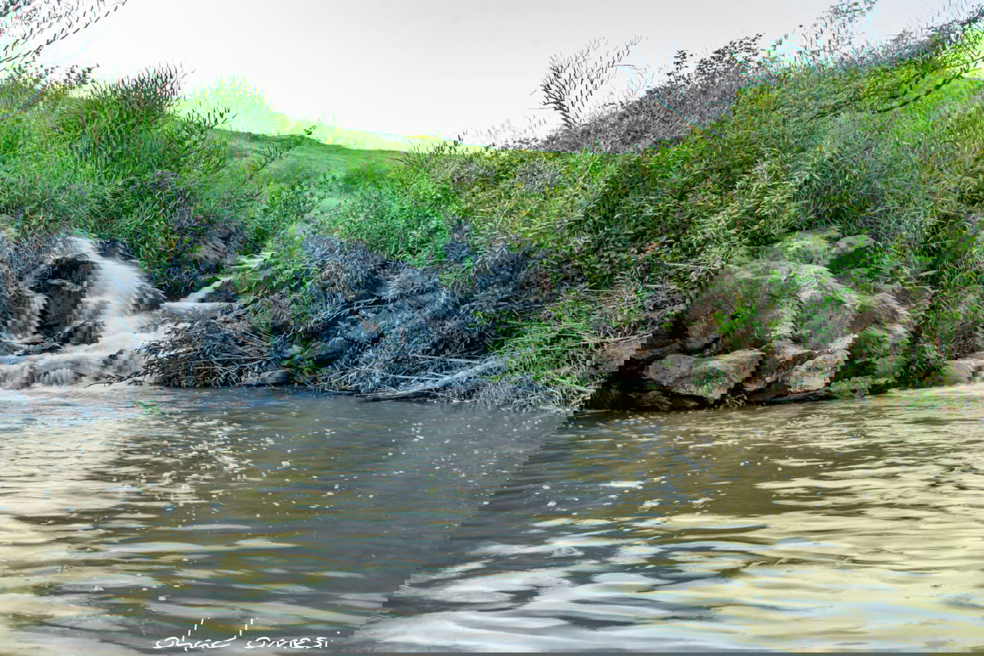 מתגעגעים לטיול חג? תיעוד מרהיב מהצפון