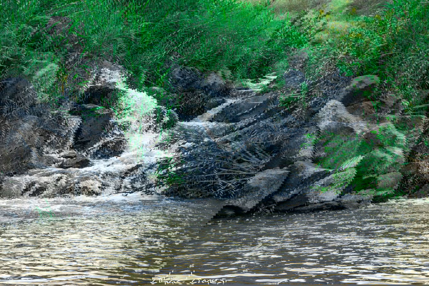 מתגעגעים לטיול חג? תיעוד מרהיב מהצפון