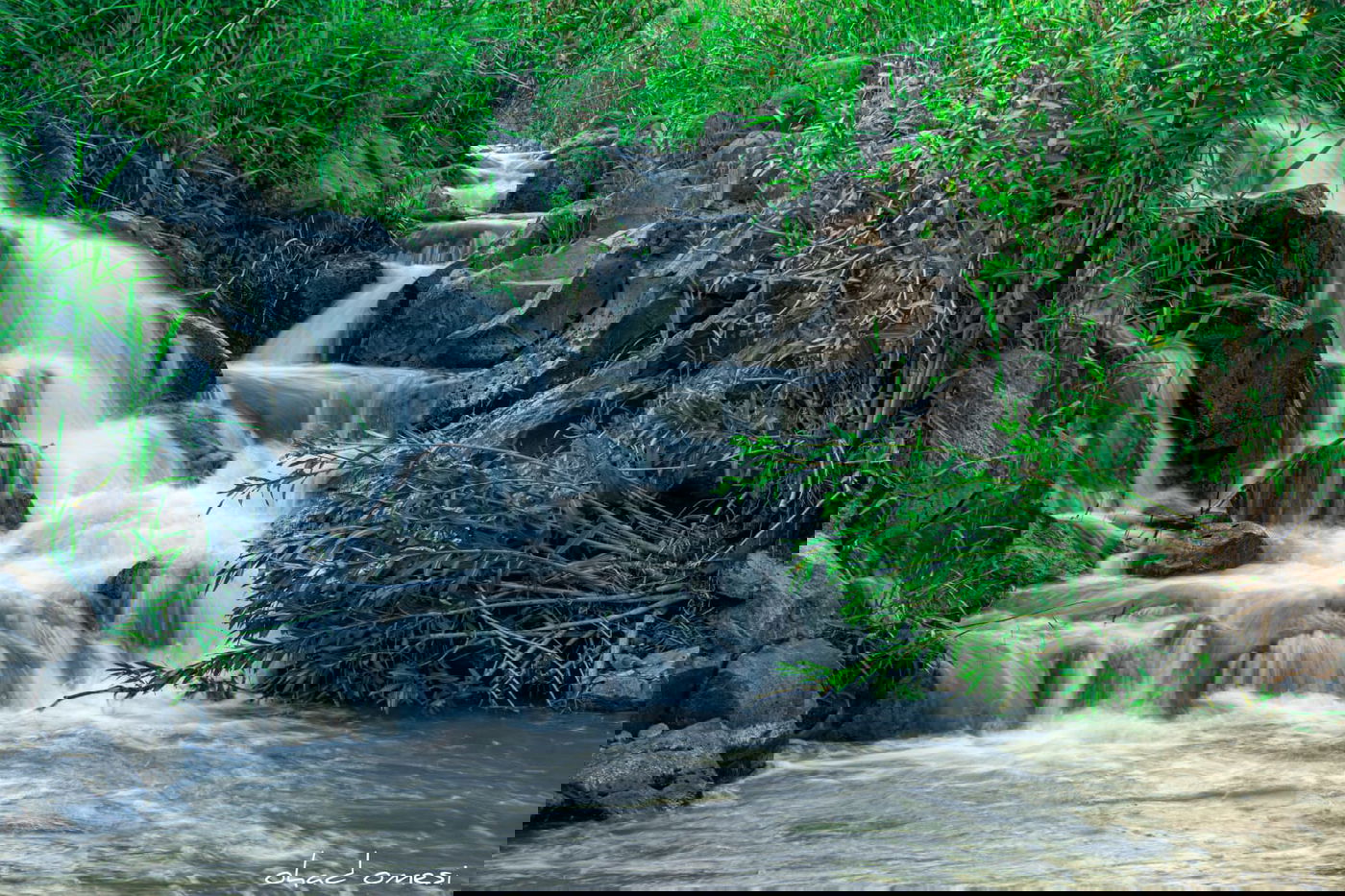מתגעגעים לטיול חג? תיעוד מרהיב מהצפון