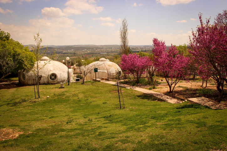 כפר עציון, פריחה מרהיבה