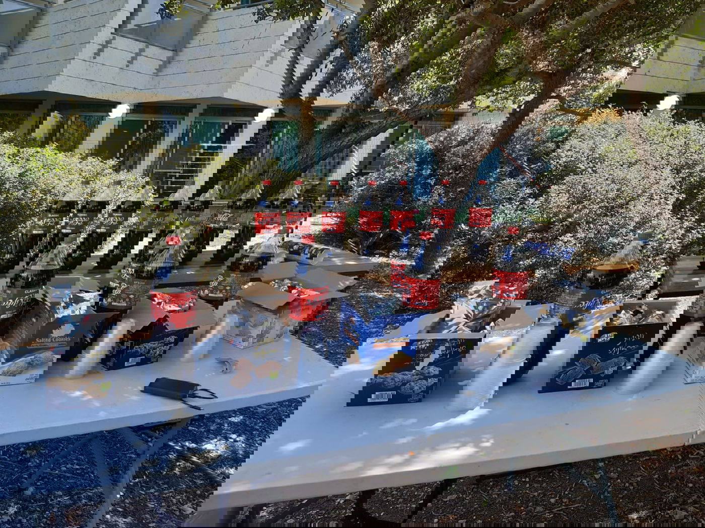 מוקפים בגדר: כך הרקידו את חולי הקורונה החרדים