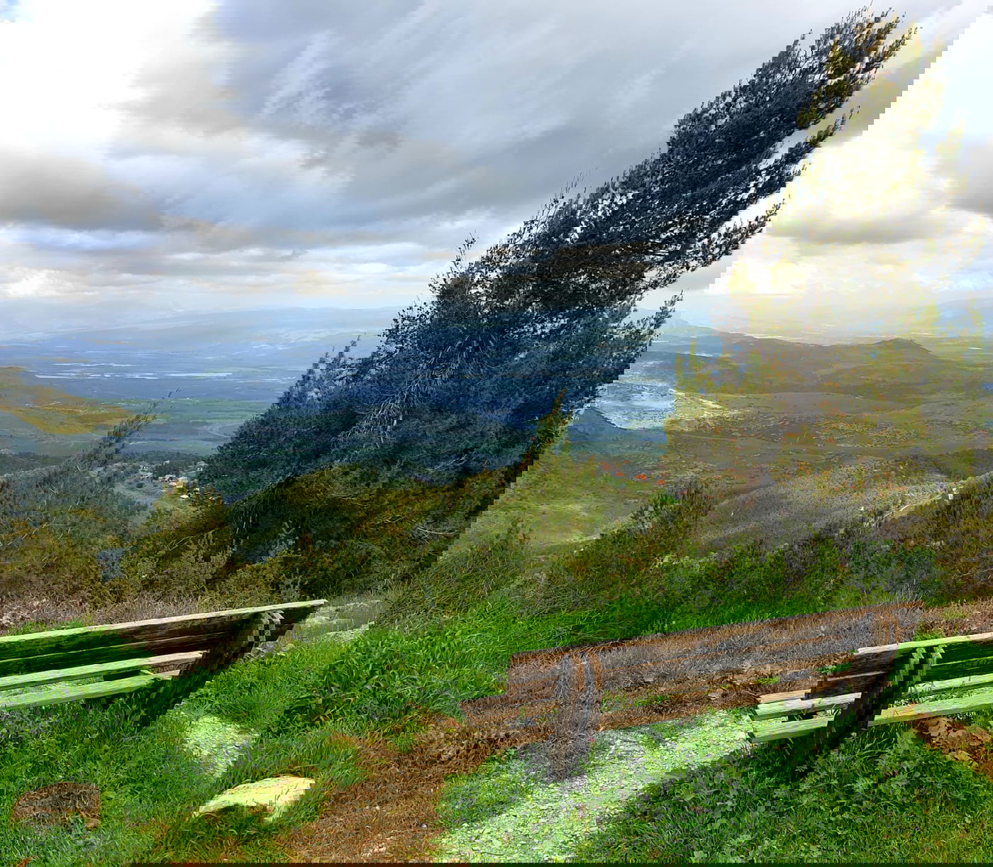 מחשבות ספסל // עזרא מאירוביץ'