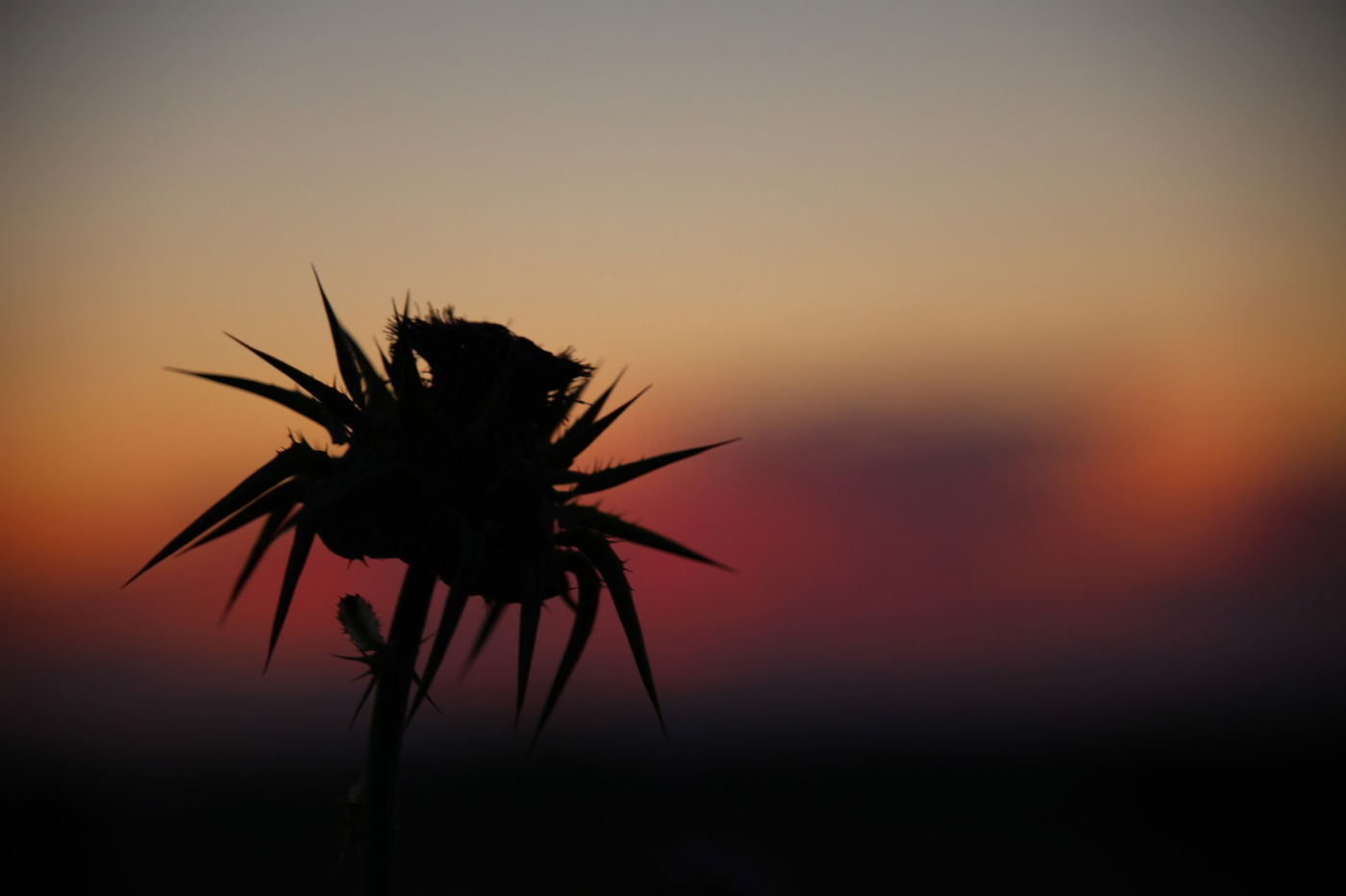 שקיעה דרומית מרהיבה במיוחד • גלריה