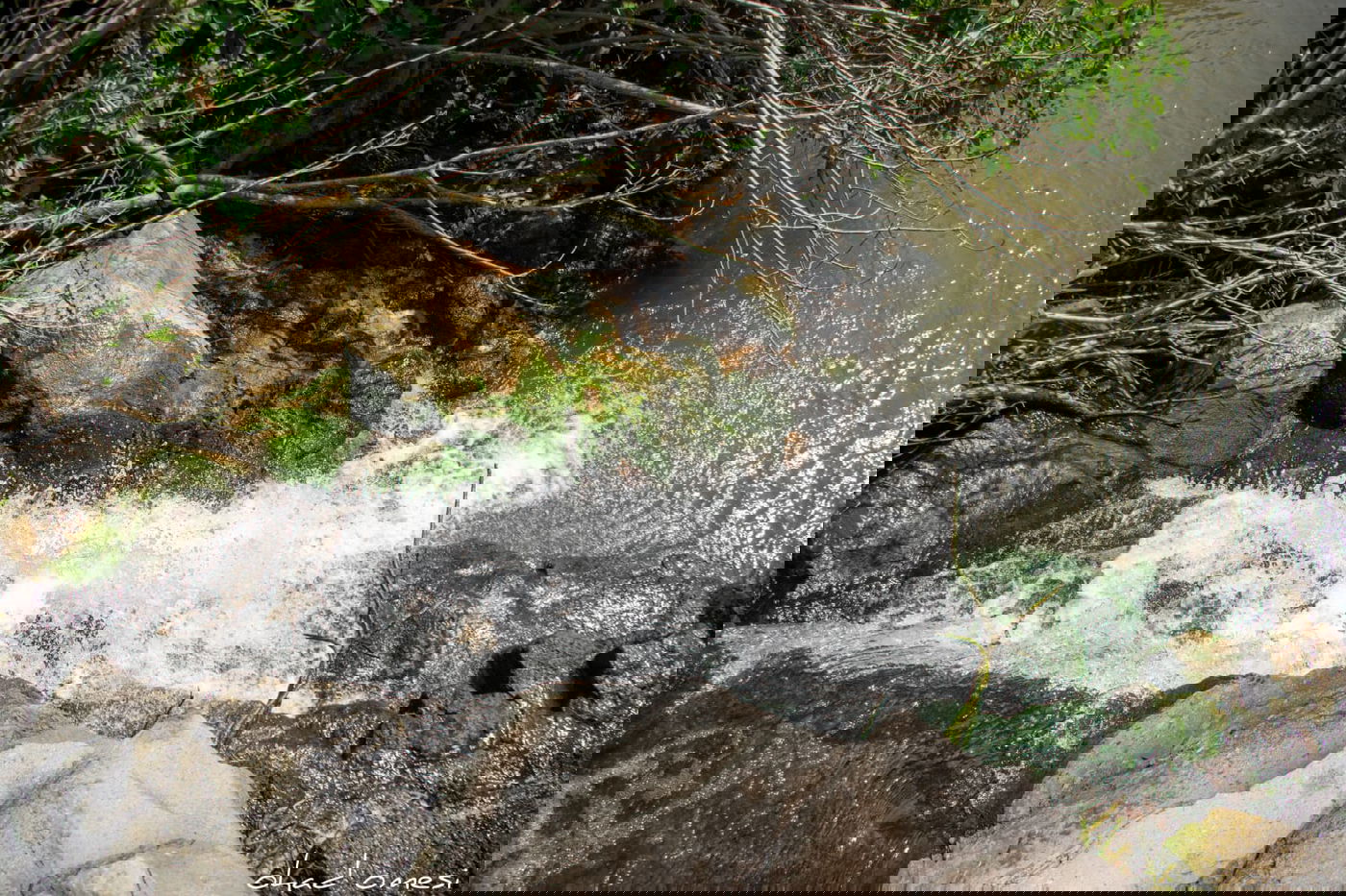 טיול בין הזמנים? תיעוד משמורת נחל יהודיה