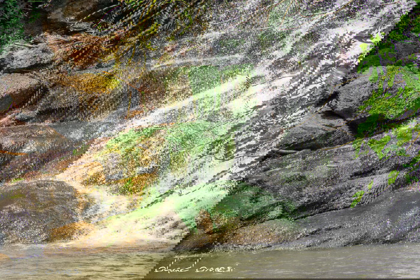 טיול בין הזמנים? תיעוד משמורת נחל יהודיה