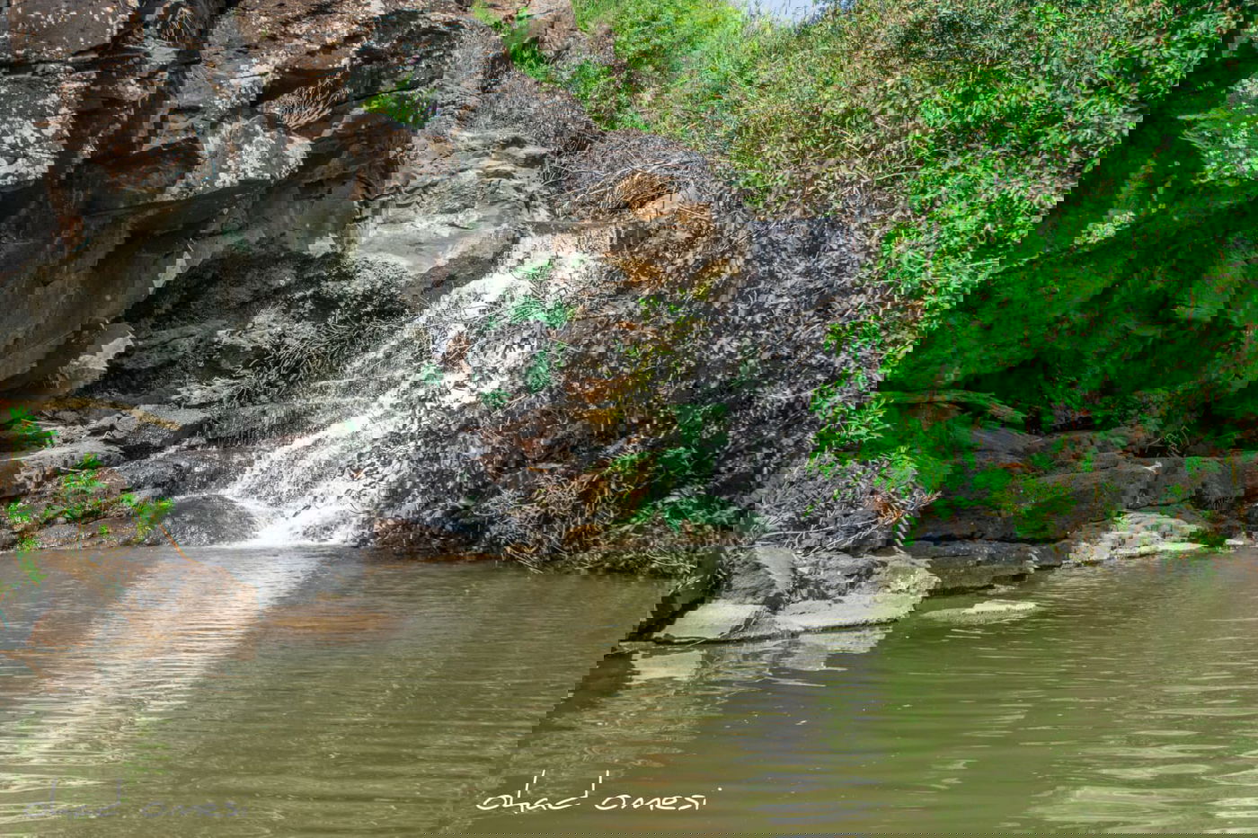 טיול בין הזמנים? תיעוד משמורת נחל יהודיה