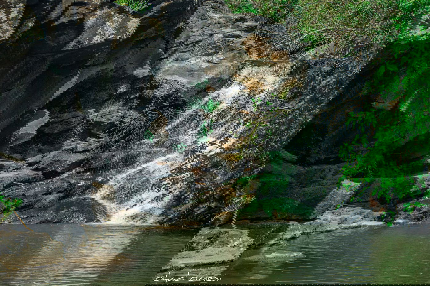 טיול בין הזמנים? תיעוד משמורת נחל יהודיה