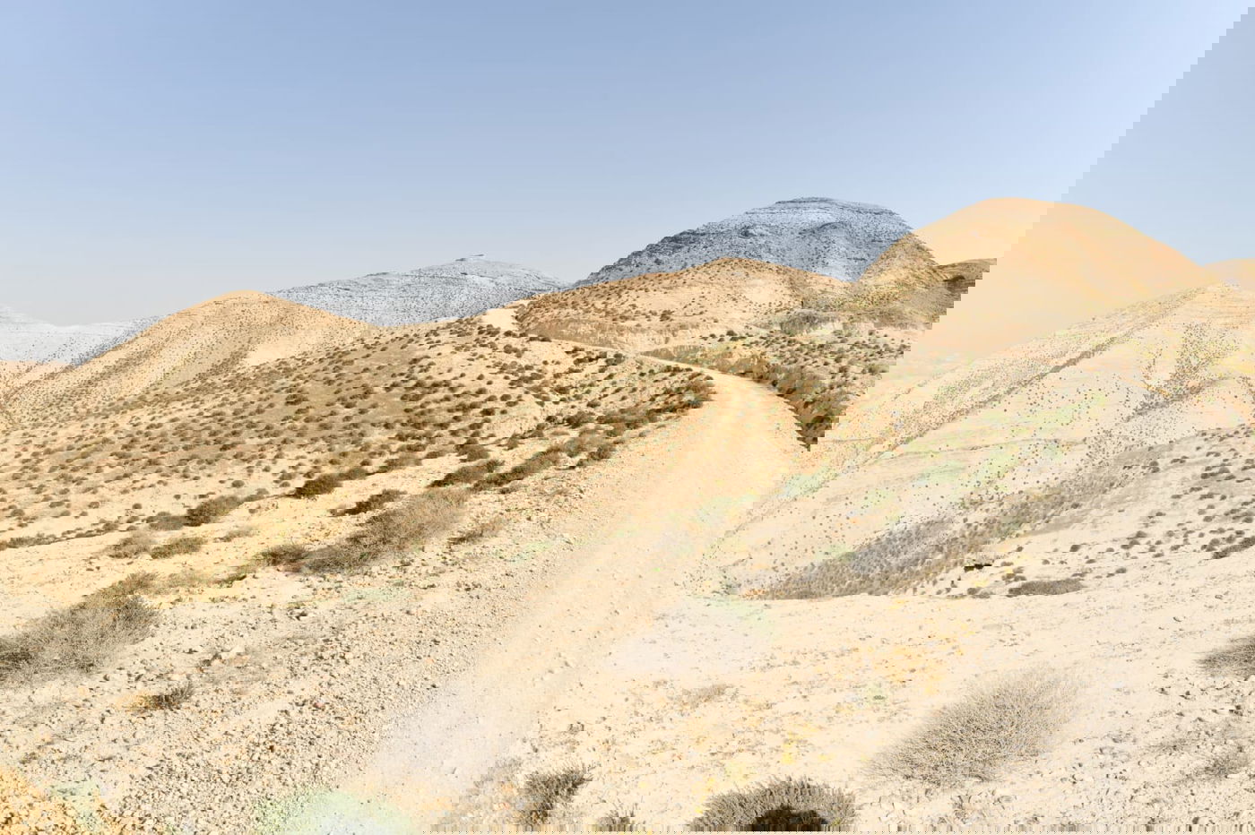 בבידוד ורוצים לטייל? צפו בתיעוד מ'עין קלט'