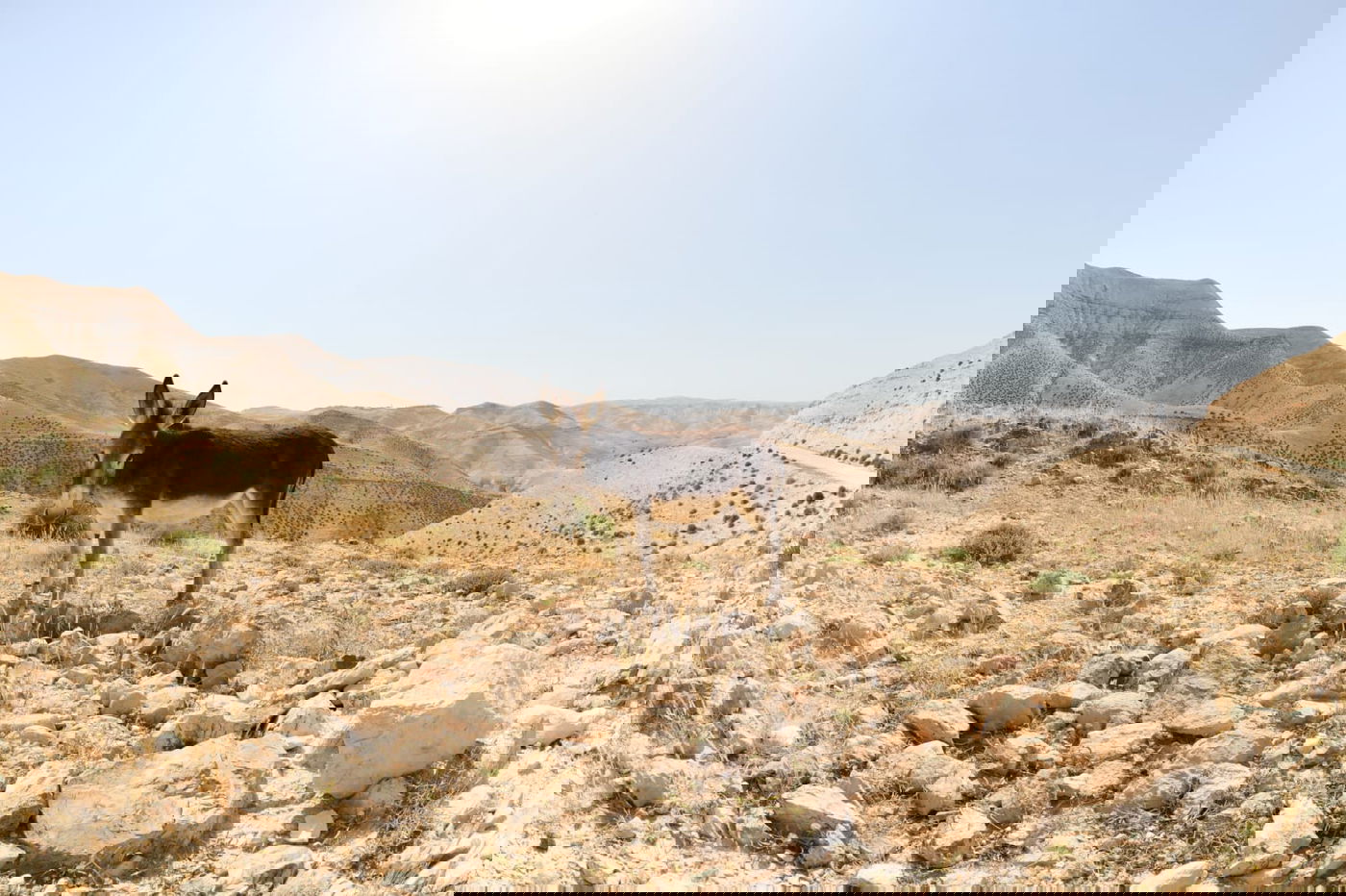 בבידוד ורוצים לטייל? צפו בתיעוד מ'עין קלט'