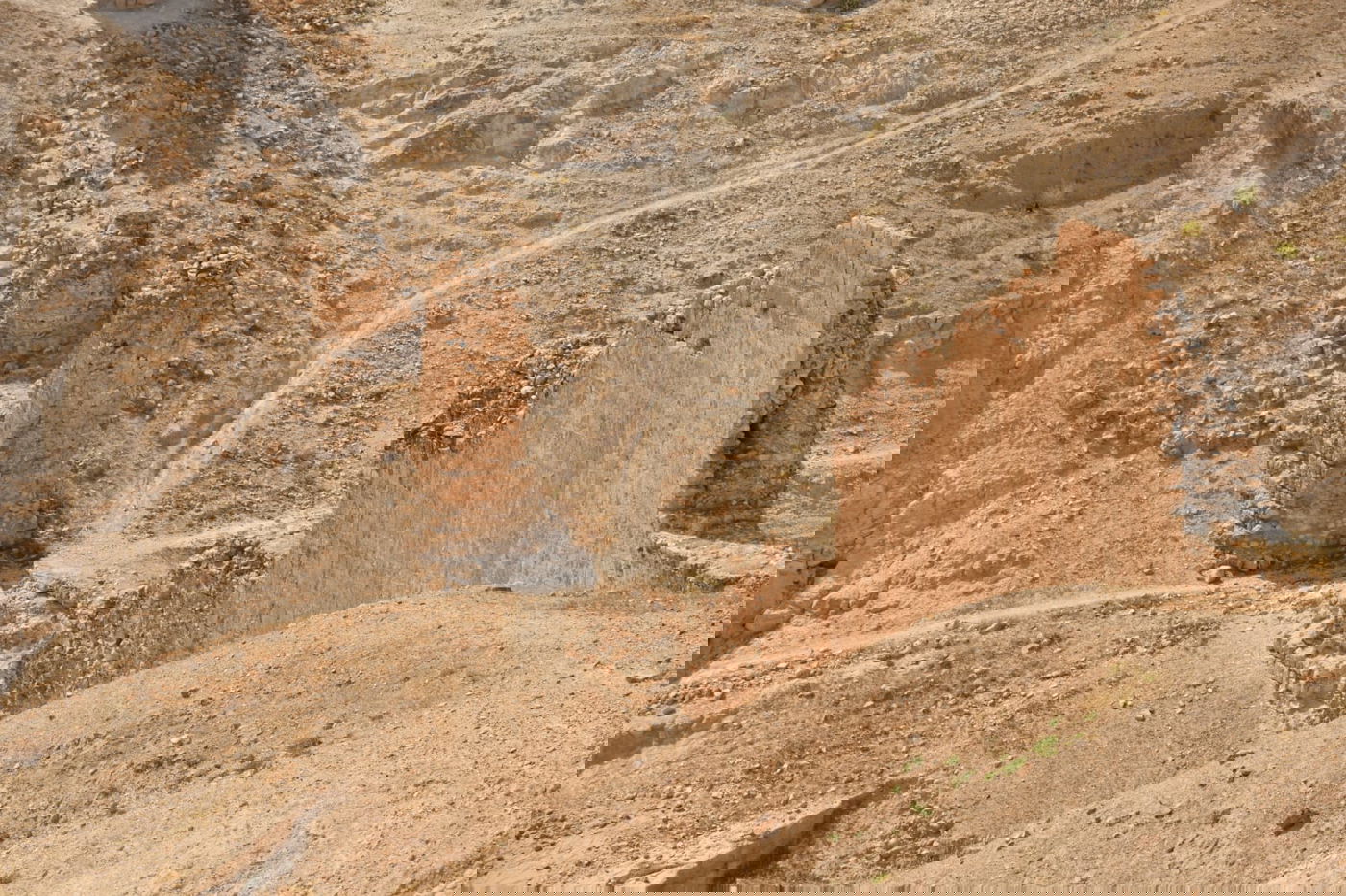 בבידוד ורוצים לטייל? צפו בתיעוד מ'עין קלט'