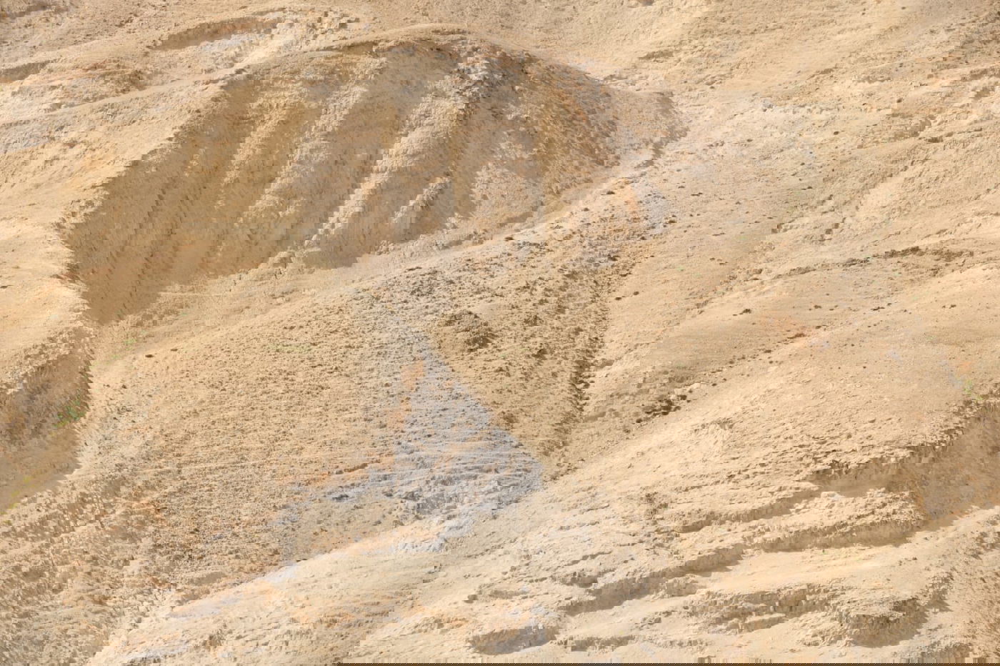 בבידוד ורוצים לטייל? צפו בתיעוד מ'עין קלט'