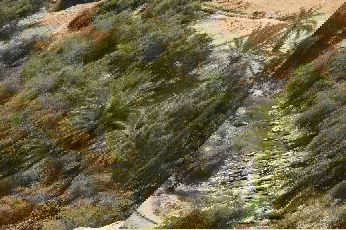 בבידוד ורוצים לטייל? צפו בתיעוד מ'עין קלט'