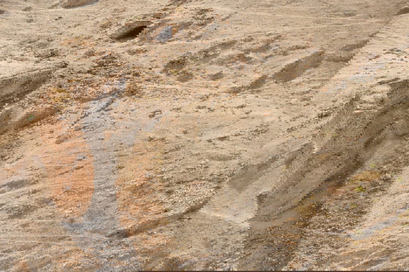 בבידוד ורוצים לטייל? צפו בתיעוד מ'עין קלט'