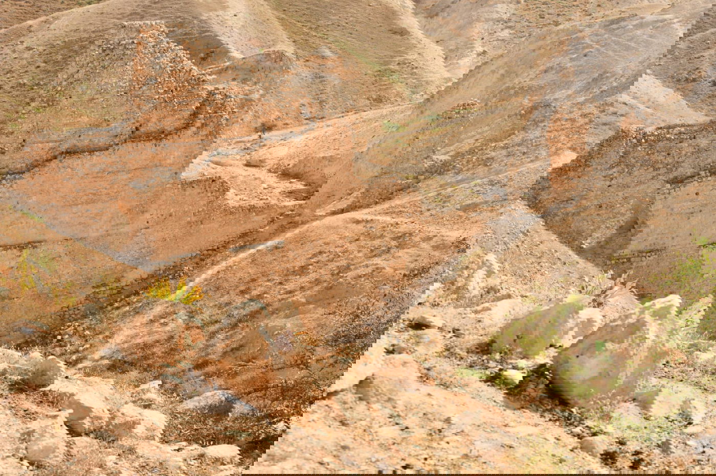 בבידוד ורוצים לטייל? צפו בתיעוד מ'עין קלט'