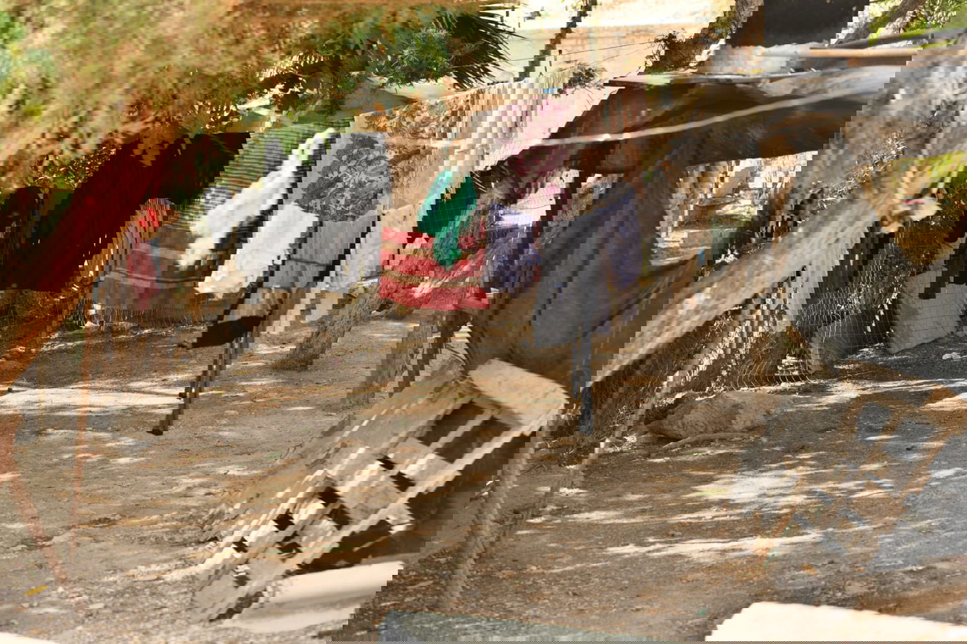 בבידוד ורוצים לטייל? צפו בתיעוד מ'עין קלט'