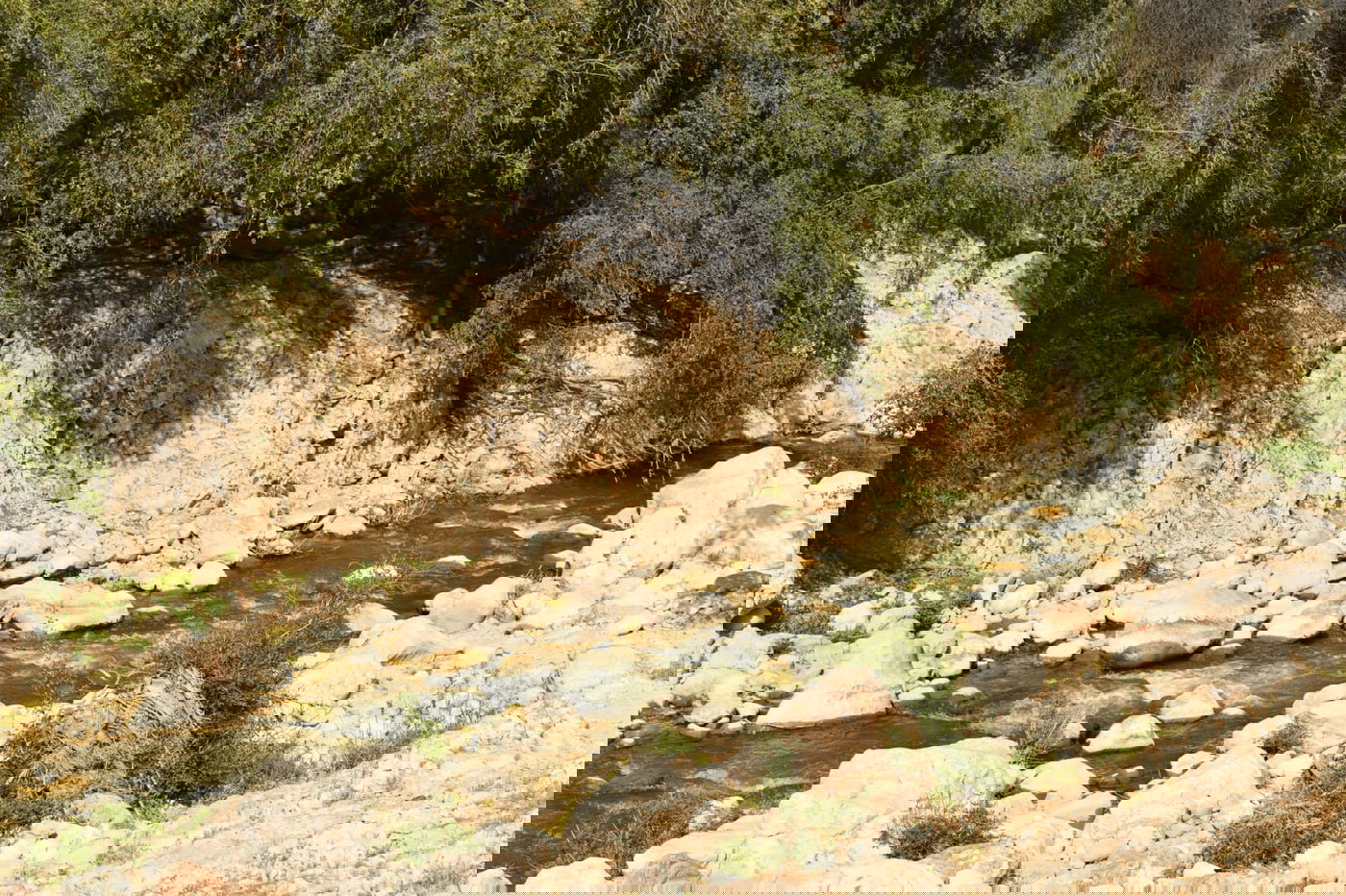 בבידוד ורוצים לטייל? צפו בתיעוד מ'עין קלט'