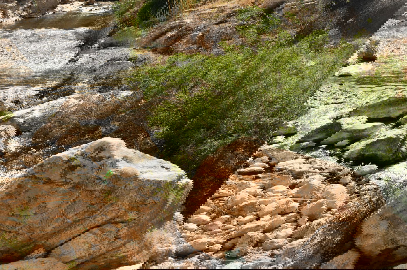 בבידוד ורוצים לטייל? צפו בתיעוד מ'עין קלט'