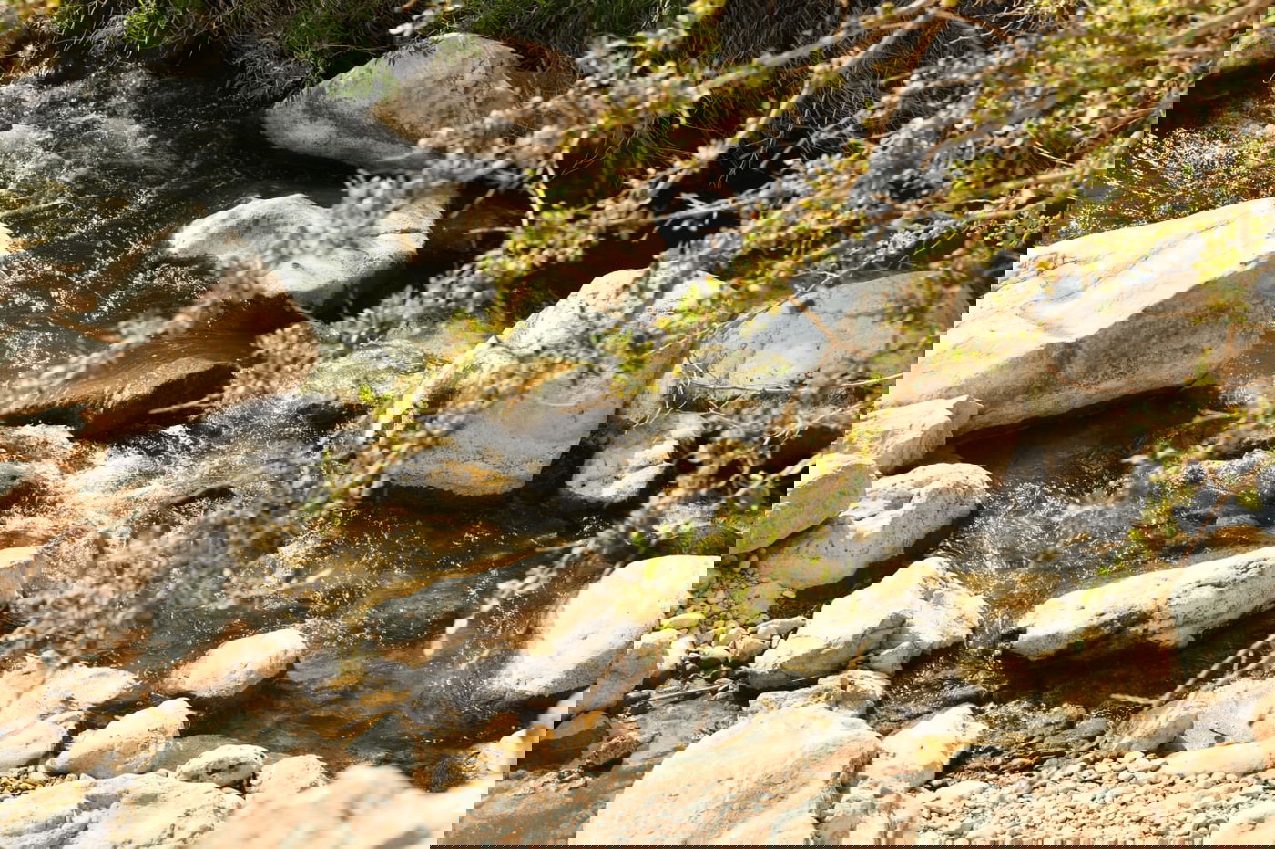 בבידוד ורוצים לטייל? צפו בתיעוד מ'עין קלט'