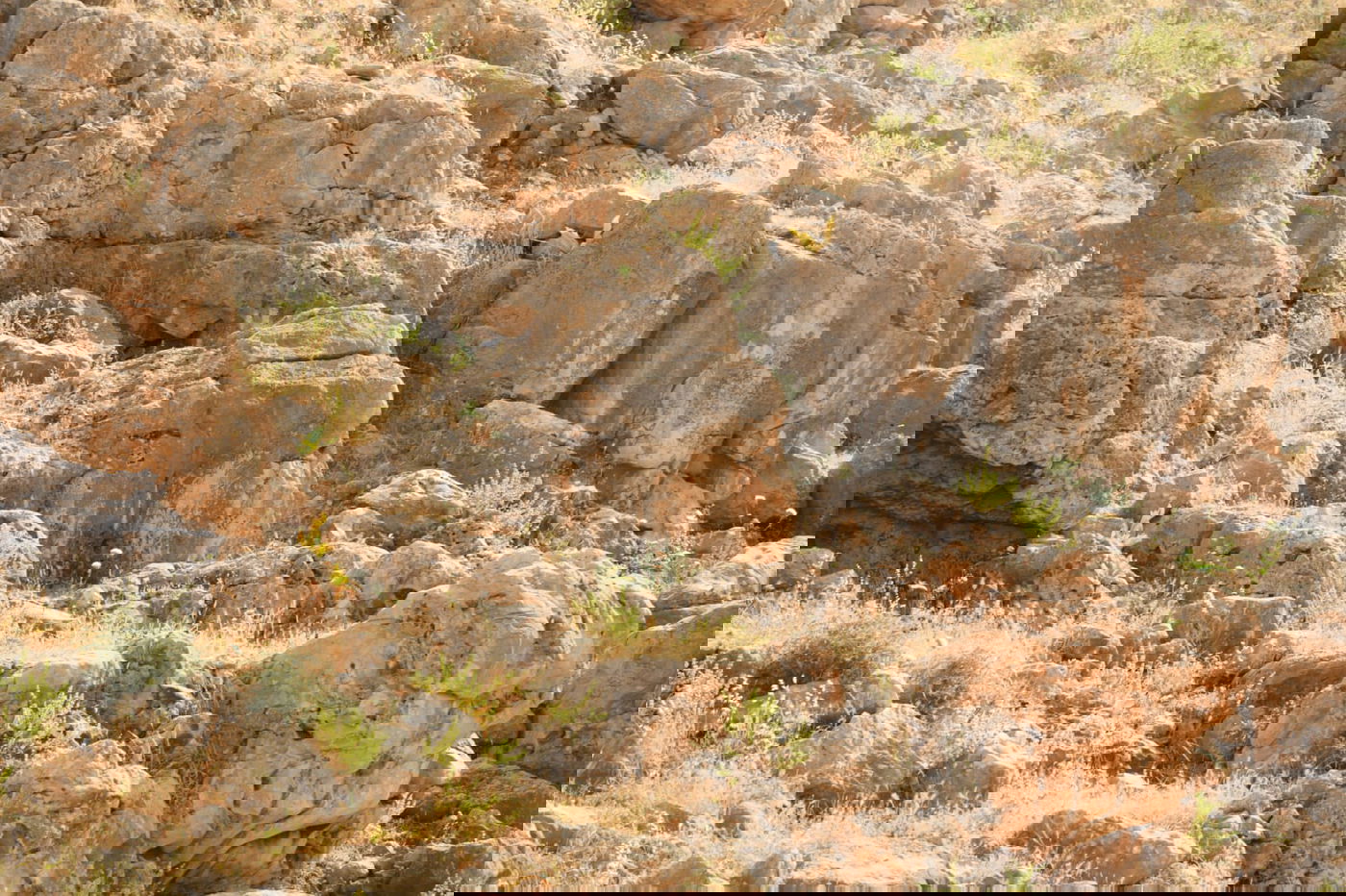 בבידוד ורוצים לטייל? צפו בתיעוד מ'עין קלט'