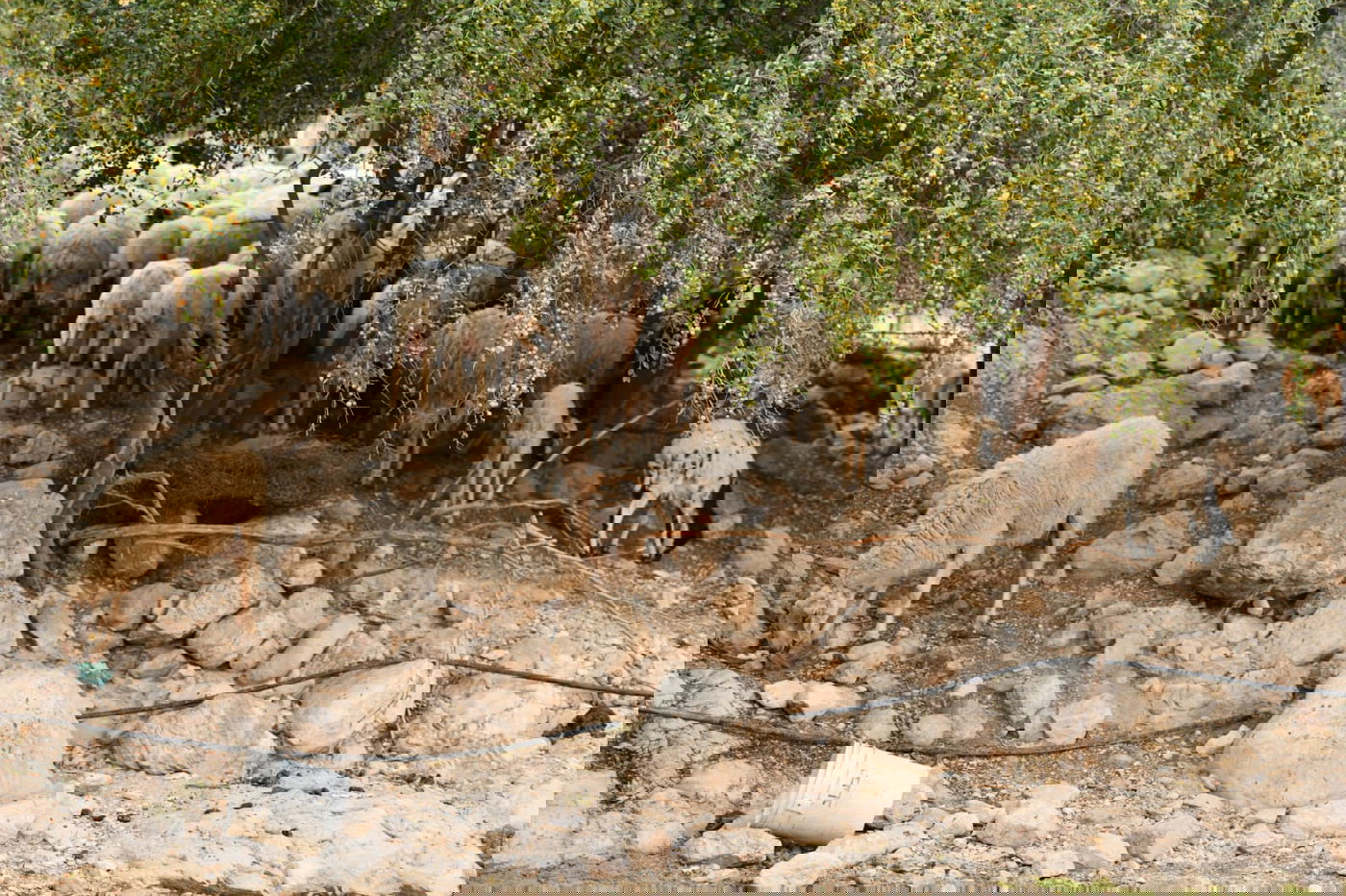 בבידוד ורוצים לטייל? צפו בתיעוד מ'עין קלט'