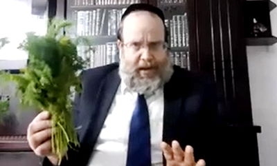 מרתק: מומחה הכשרות הרב יוסף דורפמן מסר הרצאה ב'זום'