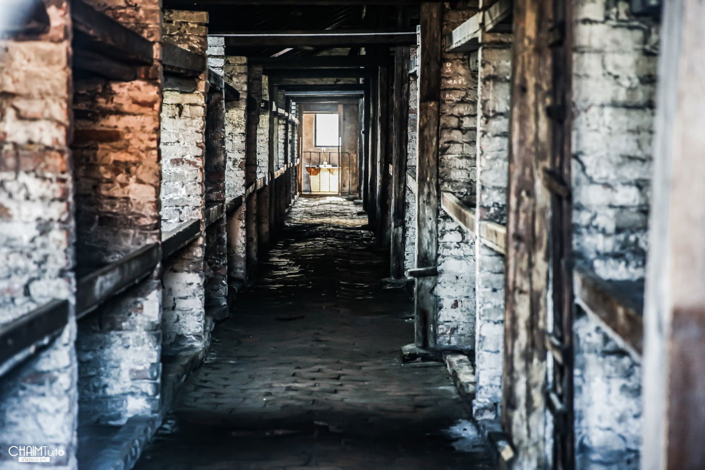 השקט שב'מצעד החיים' // הצלם חיים טויטו