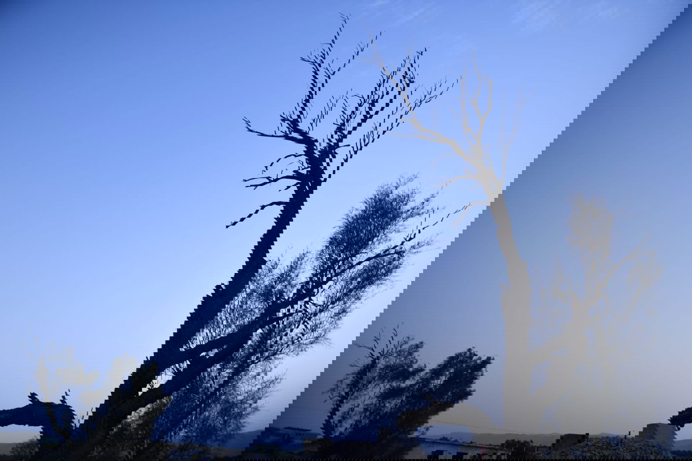 טיול בין הזמנים מצולם אל נחל פרת • תיעוד