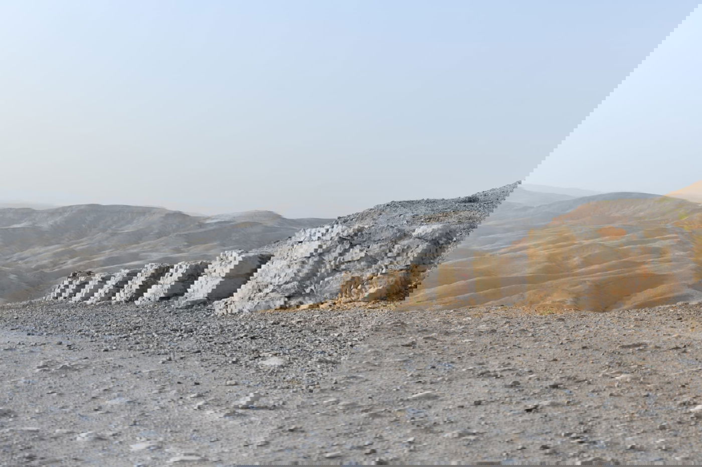 טיול בין הזמנים מצולם אל נחל פרת • תיעוד