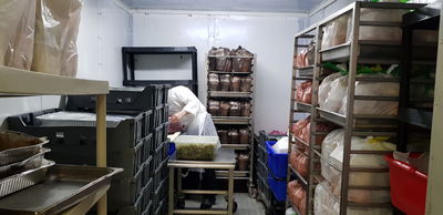 'פרויקט חג הפסח תש"פ' של 'בית התבשיל'